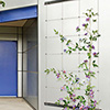 Feeney&reg; Somerset&reg; II Trellis System 